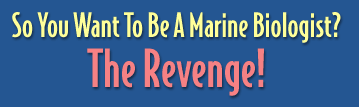 Marine Biologist the Revenge