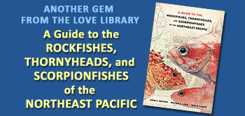 rockfish guide book