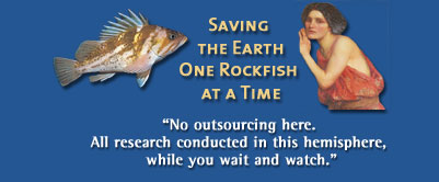 Saving the Earth One Rockfish at a Time. 'No outsourcing here. All research conducted in this hemisphere, while you wait and watch."