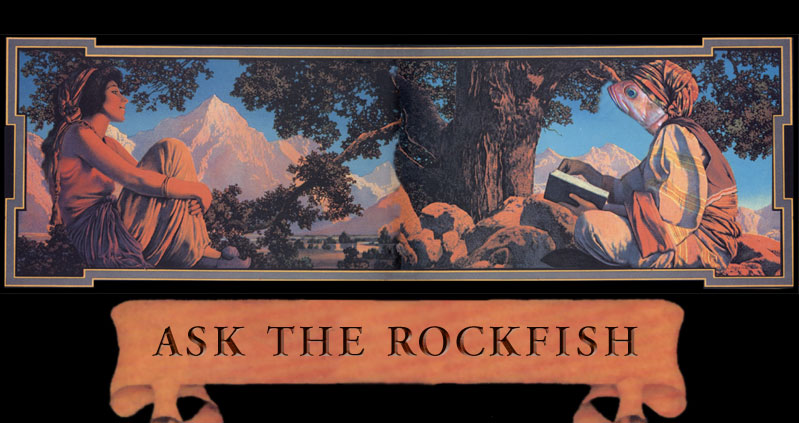 Ask the Rockfish